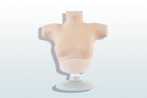 乳腺癌觸診、視診訓(xùn)練模型