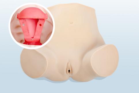 婦科上環(huán)、取環(huán)訓練模型